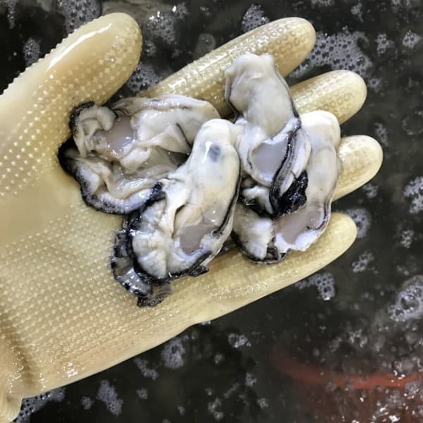 통영 생굴 1kg 썸네일 2